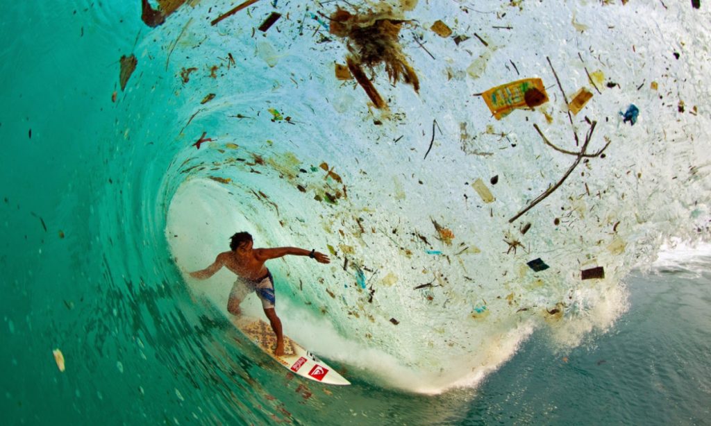 acciones para cuidar el medio ambiente